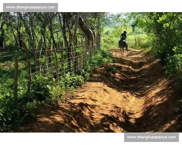 篮球手策马:平衡之道跨赛场 篮球手策马:平衡之道跨赛场
